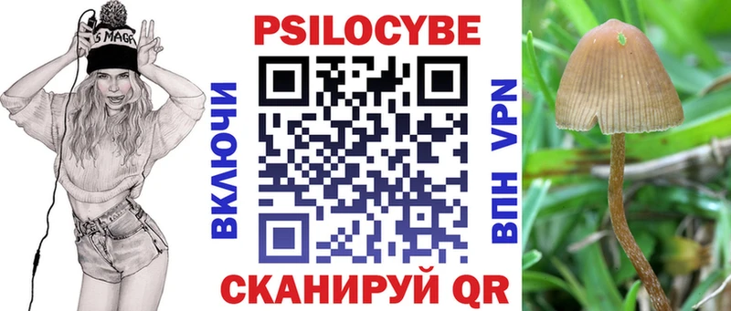 kraken   Чайковский  Галлюциногенные грибы Cubensis  наркошоп 